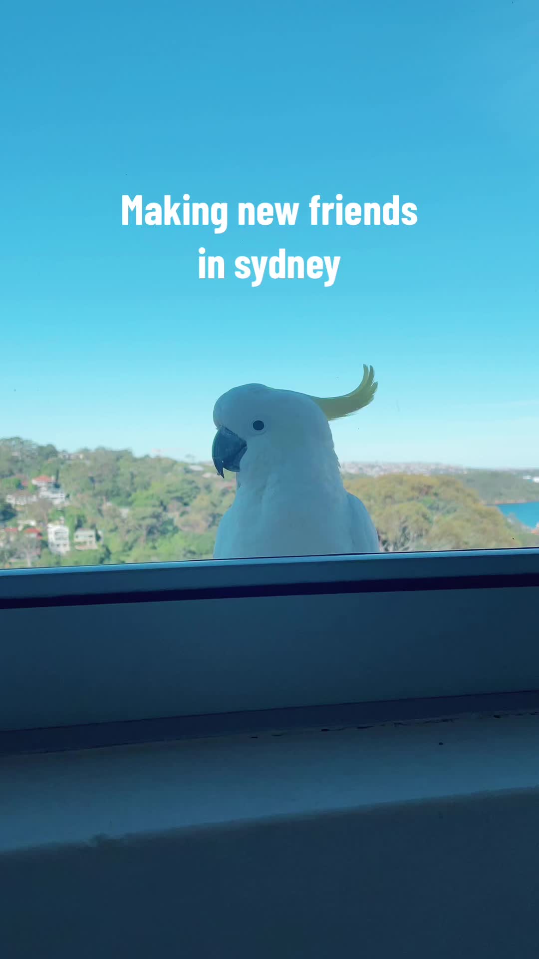 @D I N K Y   P O S T C A R D S