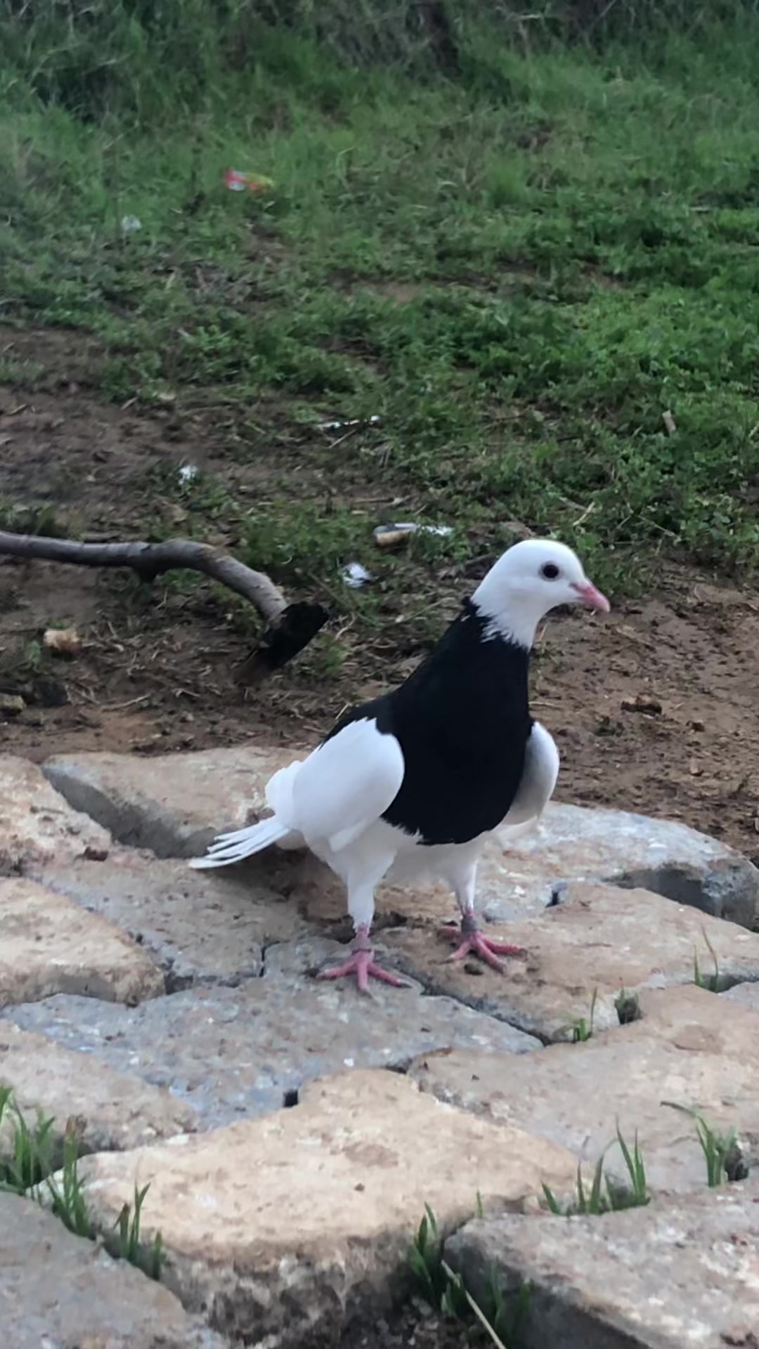 @ツ𝓑𝓪𝓻ı𝓼 𝓒𝓸𝓼𝓴𝓾𝓷