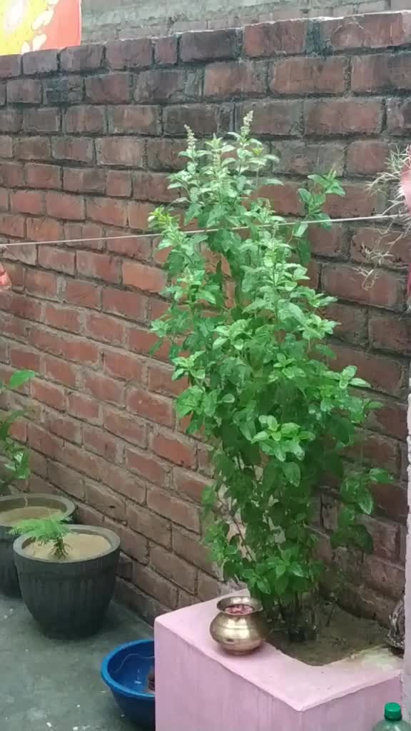 @Ruchi bhadauriya