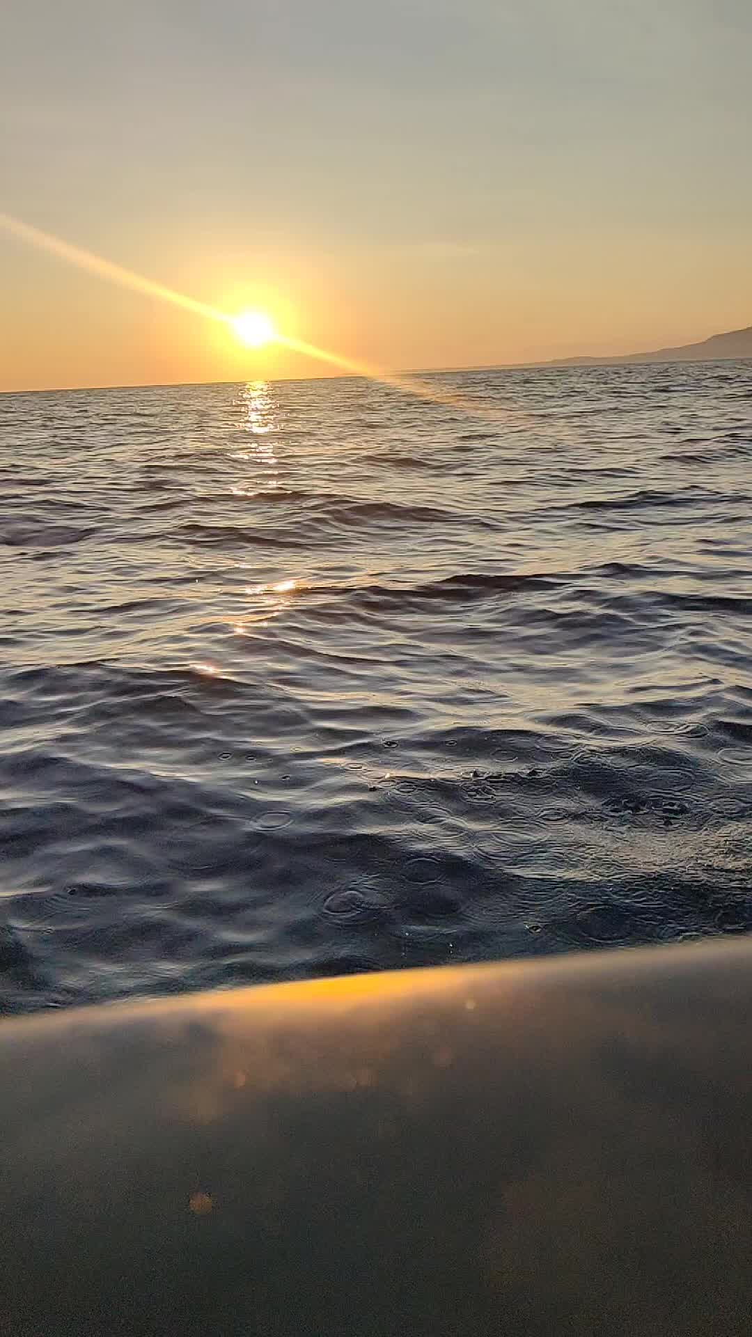 @evelyn_marciani