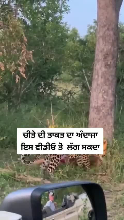 @ps5577