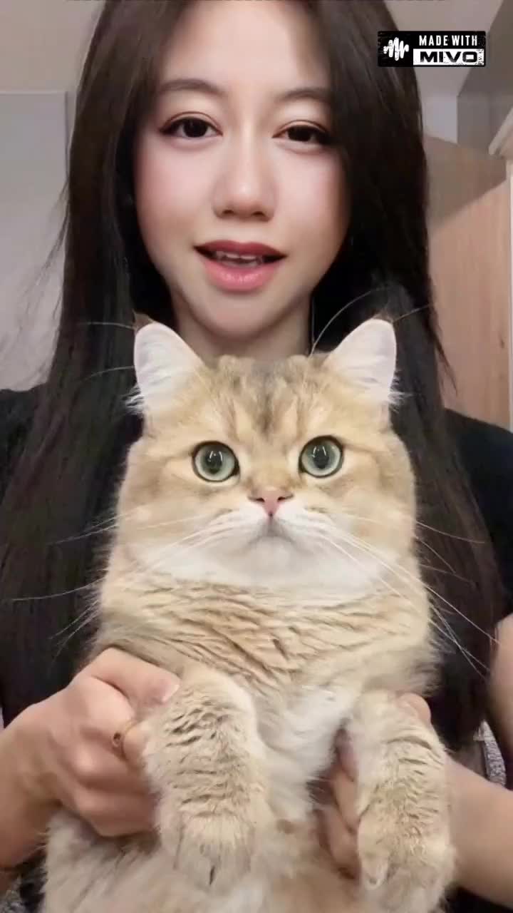 @💋⃝⚘͚✯ͥ ͣ ͫ͢𝕬𝖒𝖔𝚢✰͜͡❣️🇹🇼?