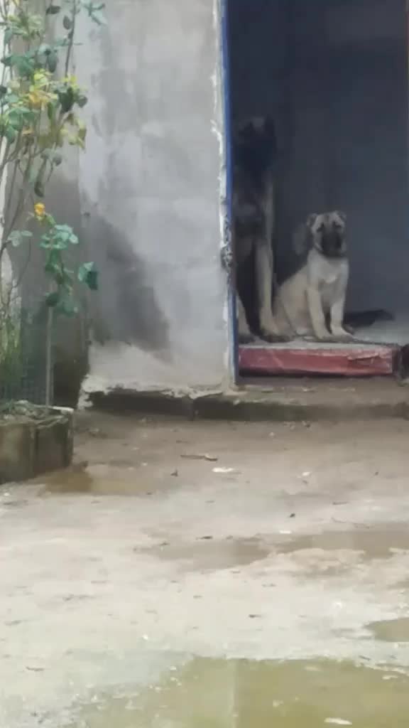 @Münir Sever