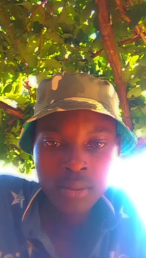 @MC Transformer