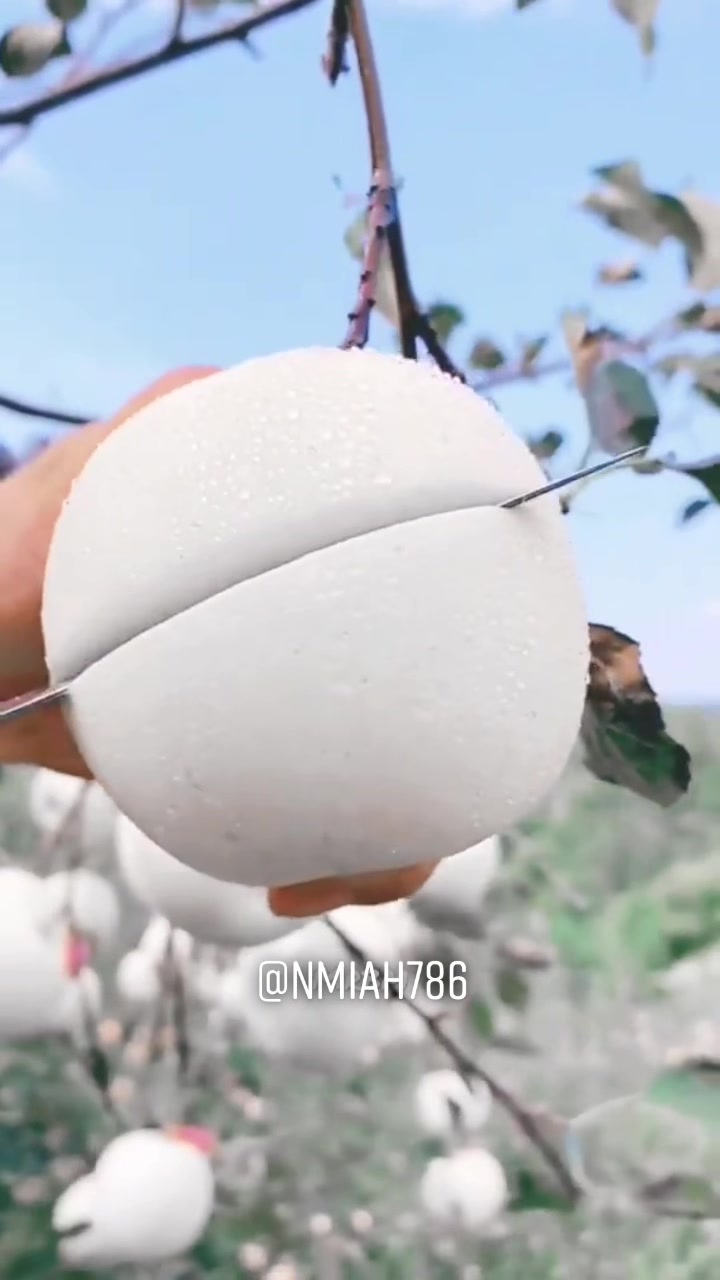 @NMiah786