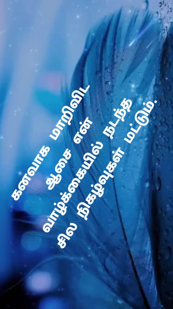@kumar j