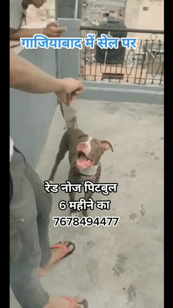 @AKSHA&yen; &reg;&trade;