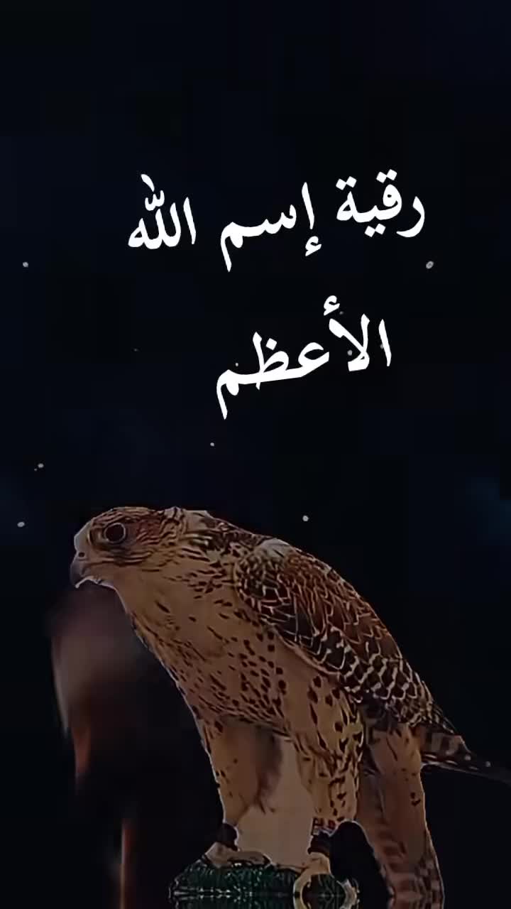 @امازيغي حر