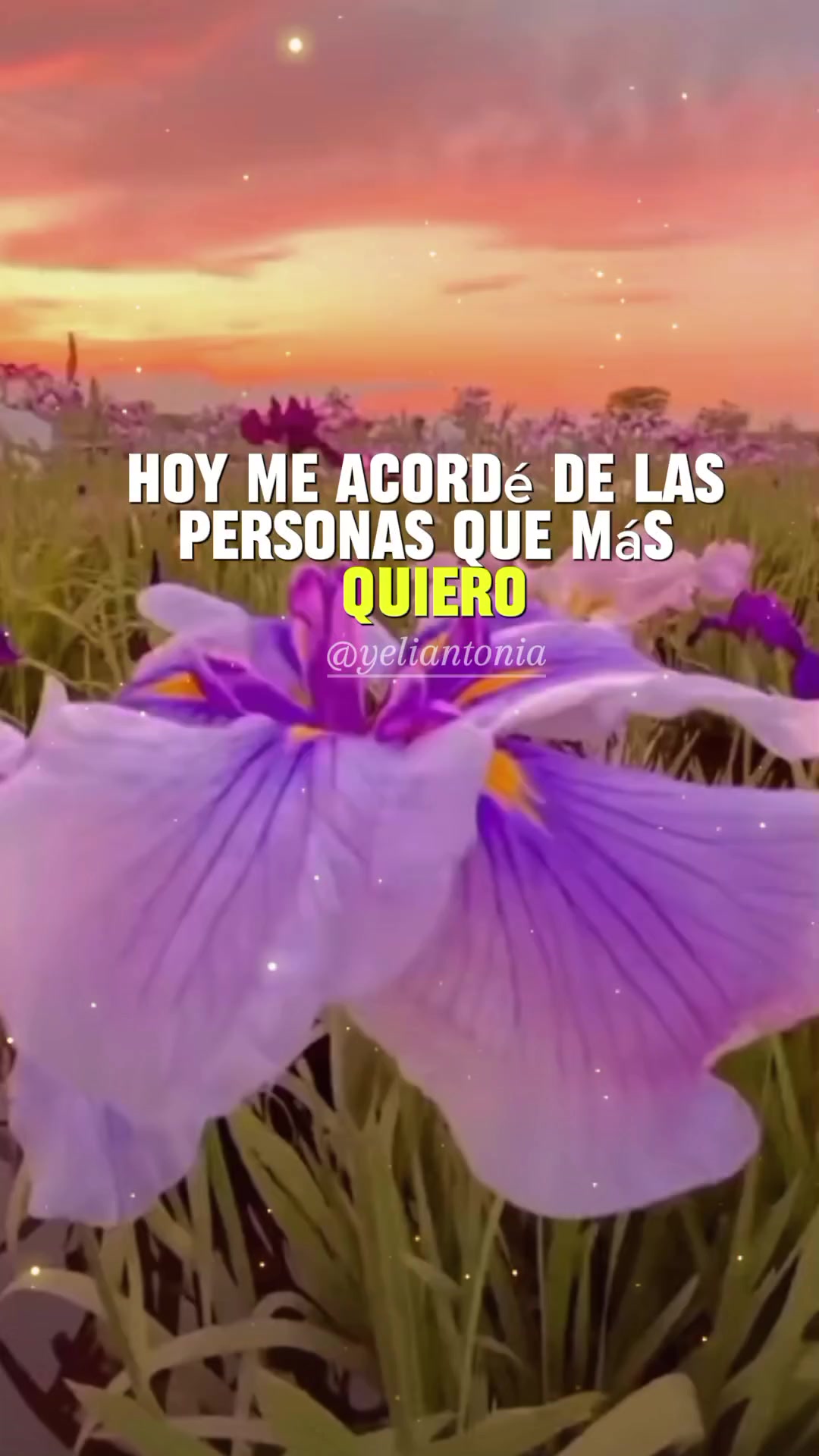 @Yeliantonia