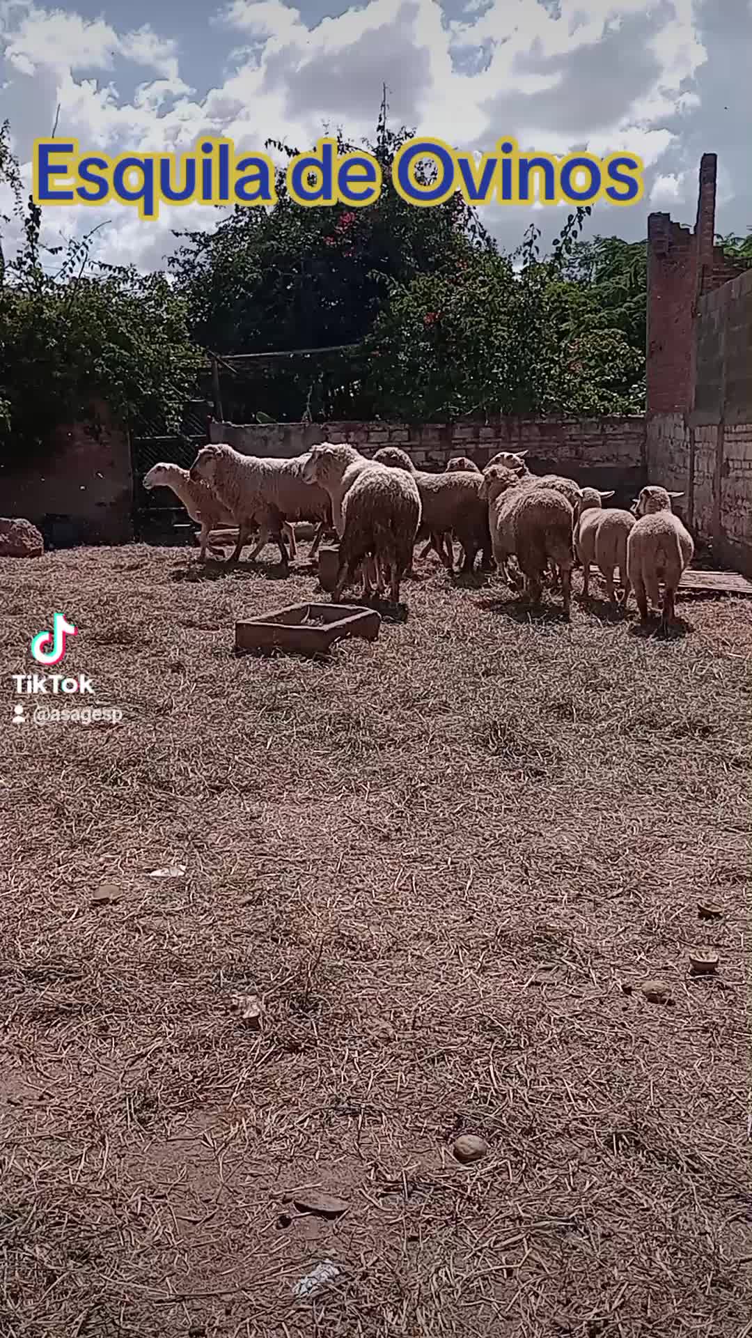 @ASAGESP