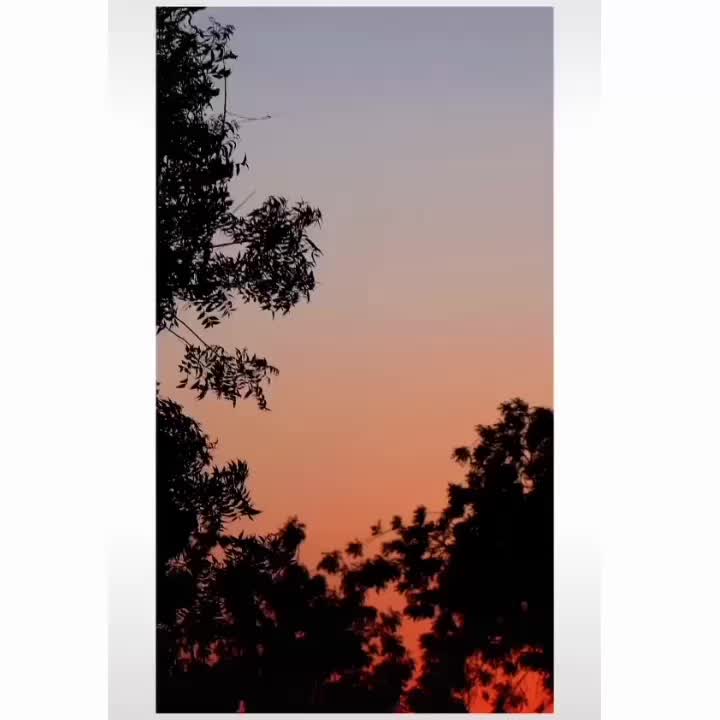 @jay_rajput_1411