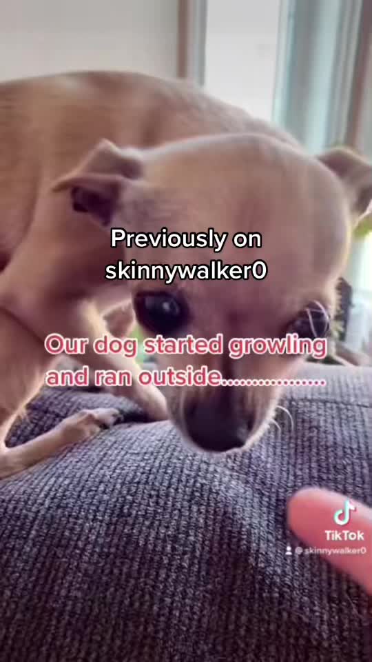 @skinnywalker0