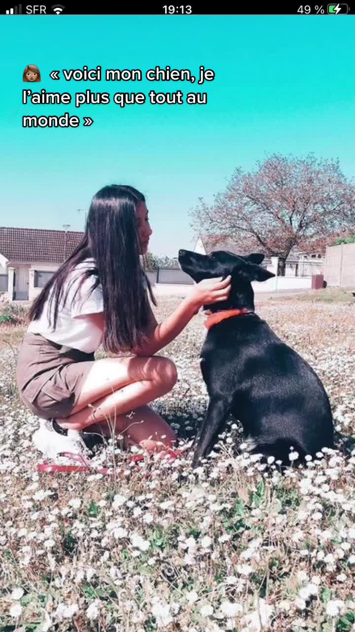@Family pets⚡️