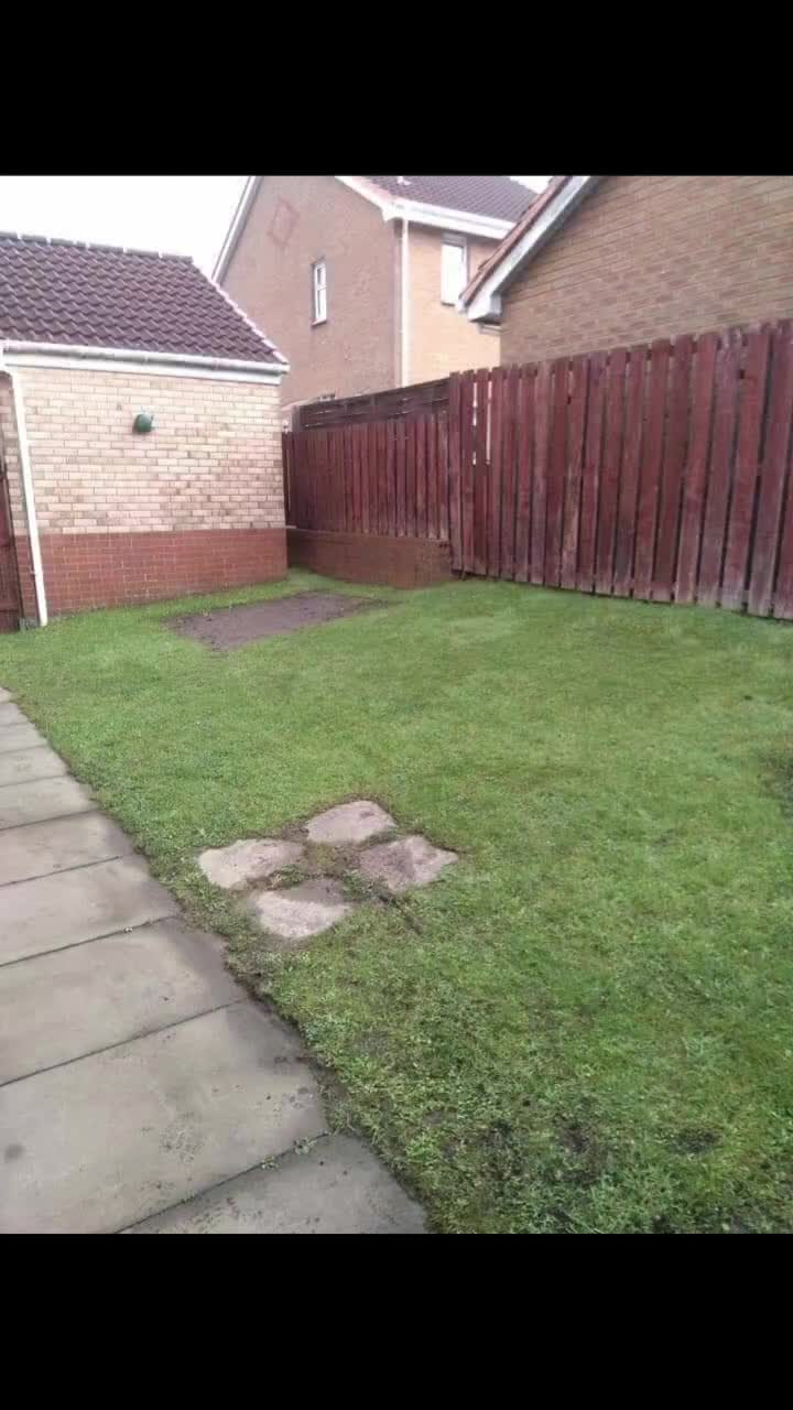 @Glasgow_Tree_Care