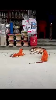 @Sunil S Prajapat