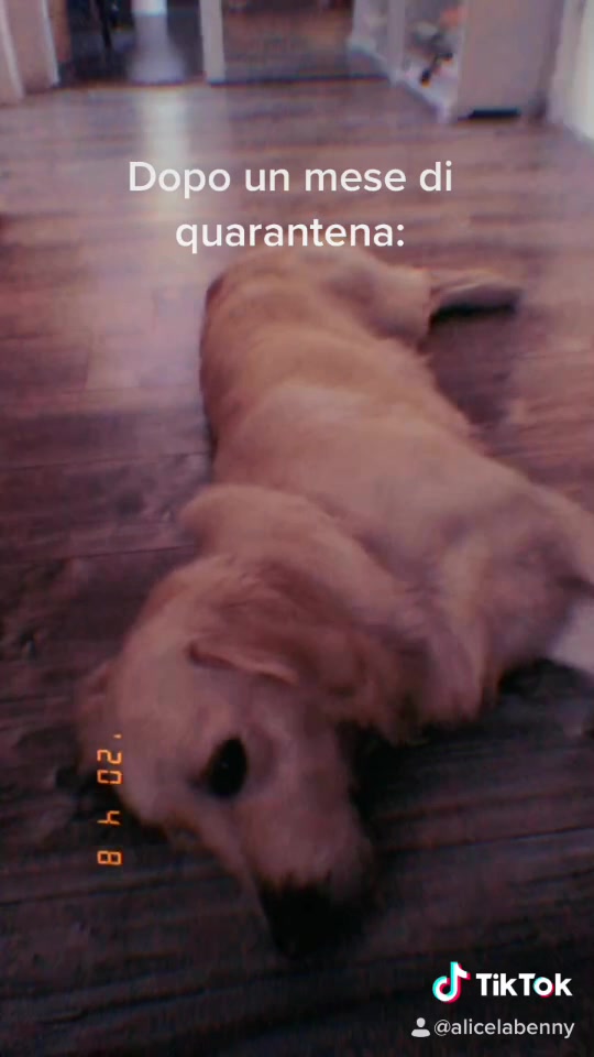 @Alice Bennati