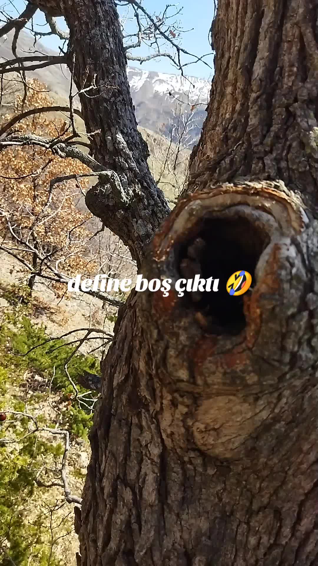 @İsmail Genç