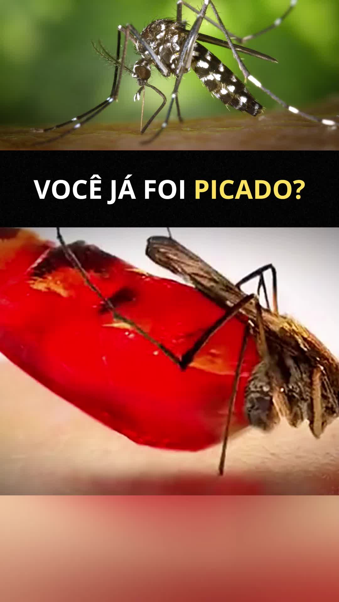 @Teslinha