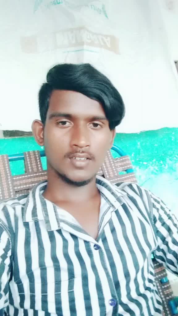 @bollepoguirmiya831
