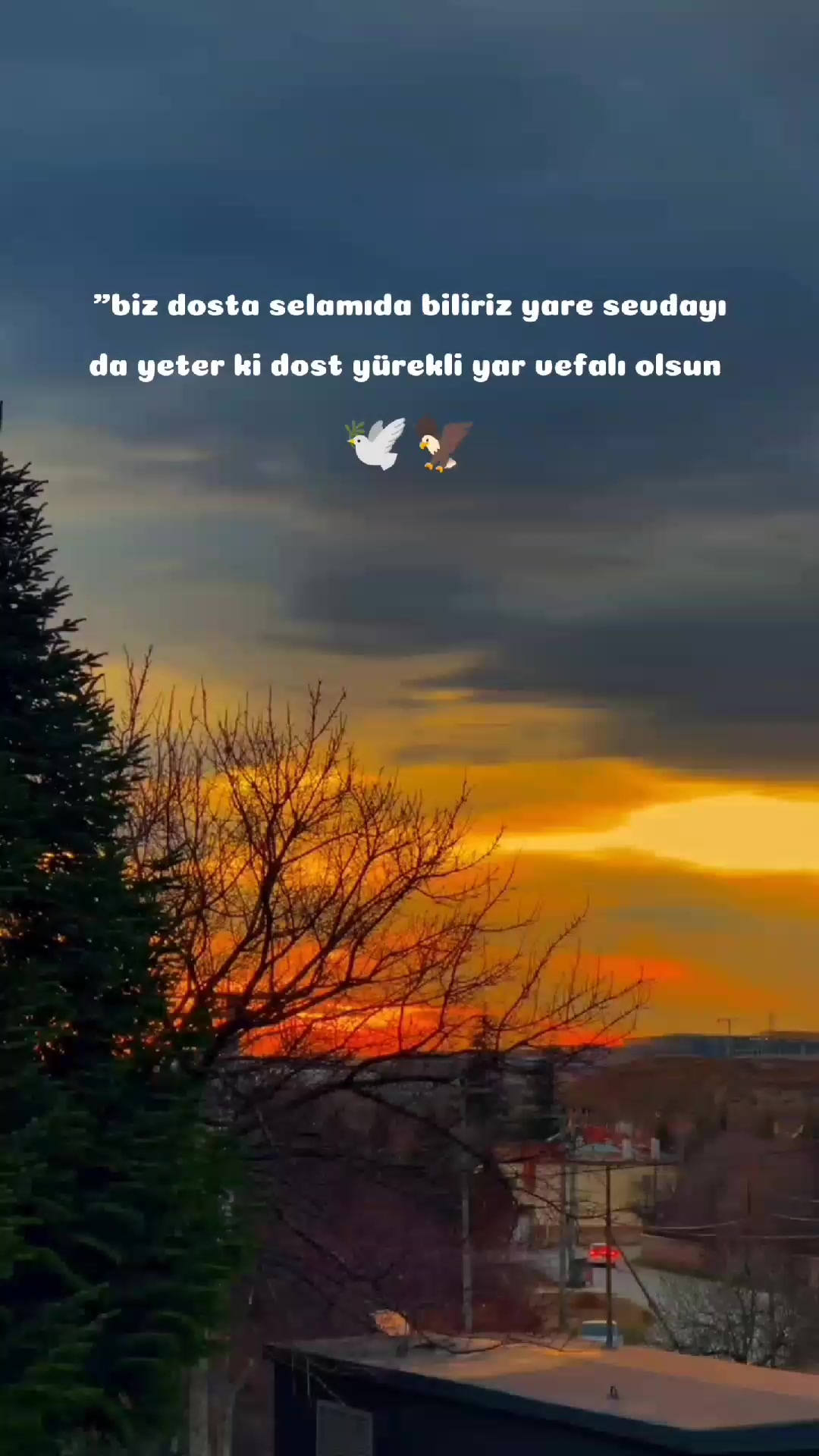 @İBØČÄÑ