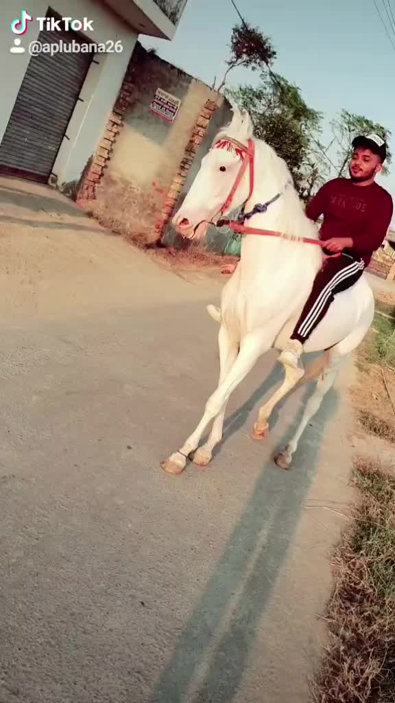 @Aman