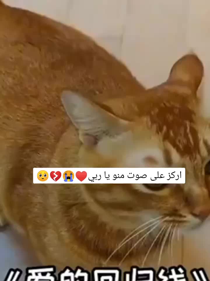 @ساكورا 🌺🌼♐🌼🌸🌺🌼