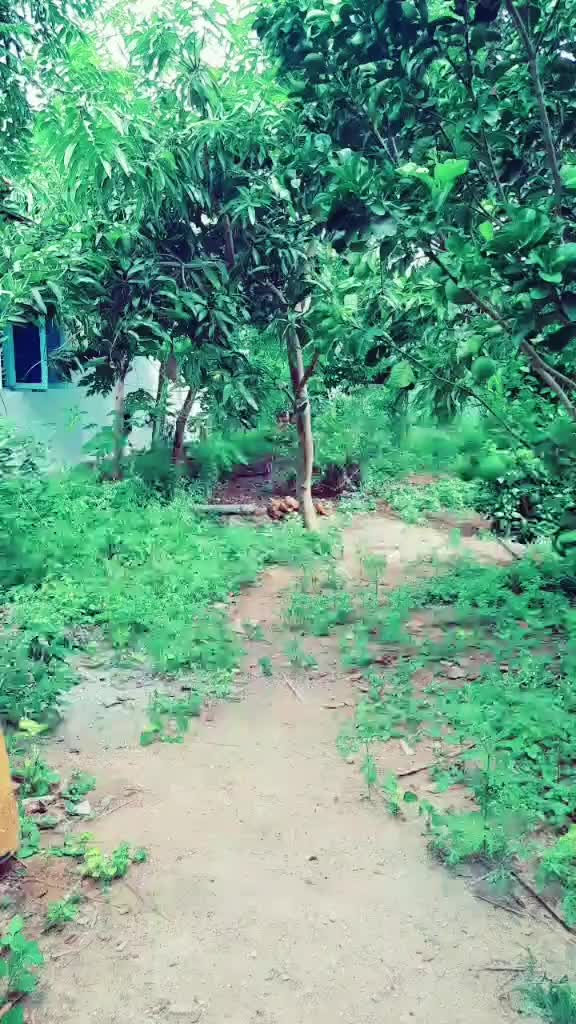 @Komal