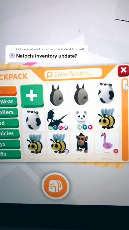 @roblox.agnes