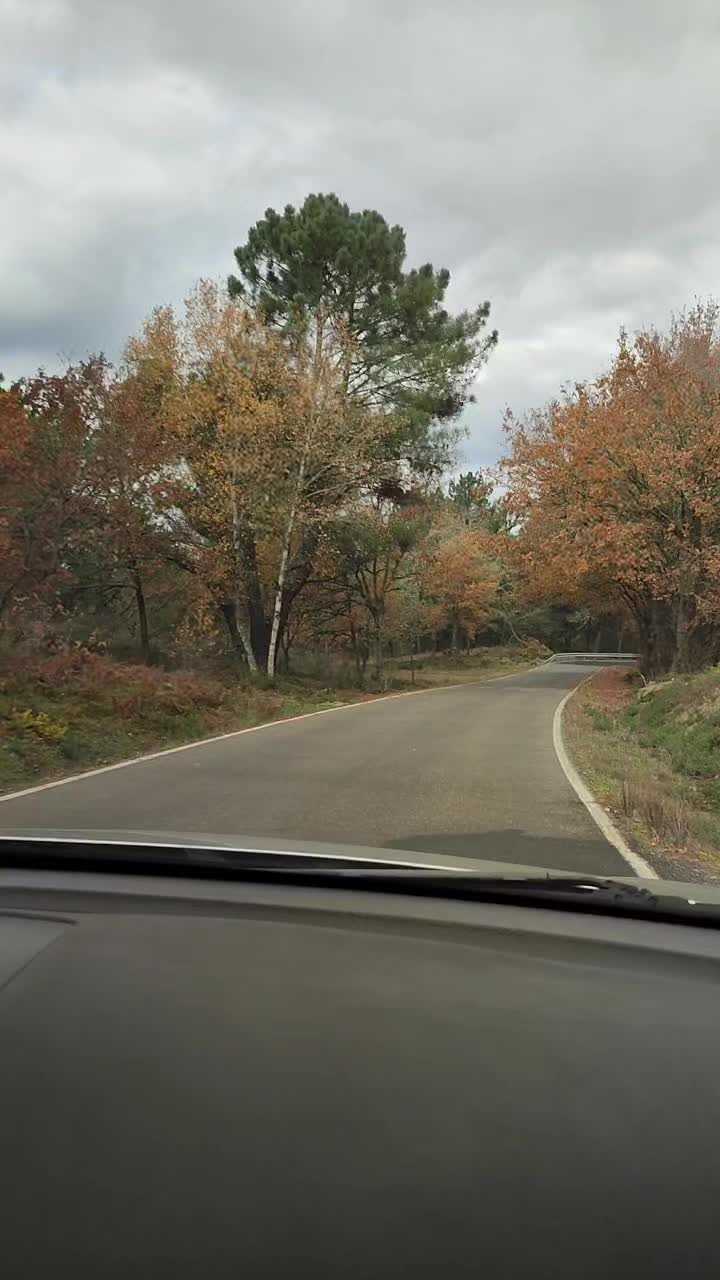 @Galicia Máxica