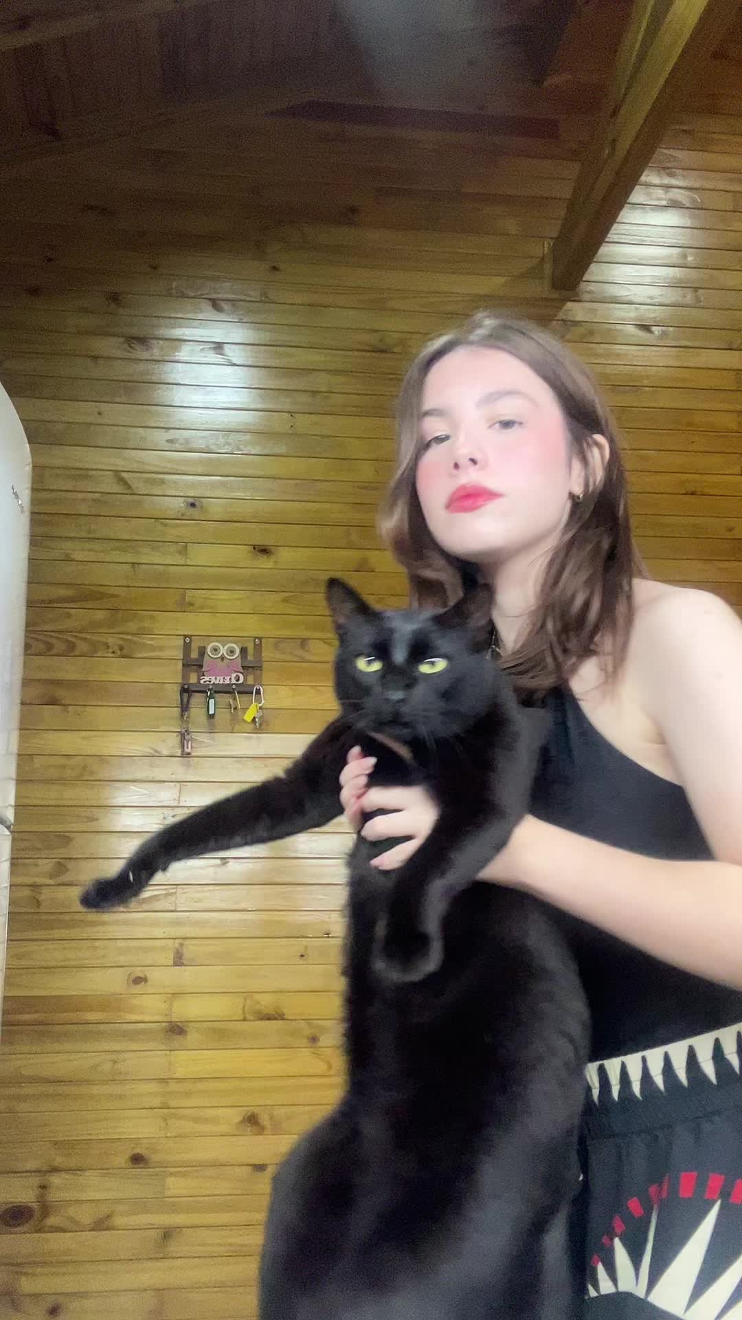 @lulub