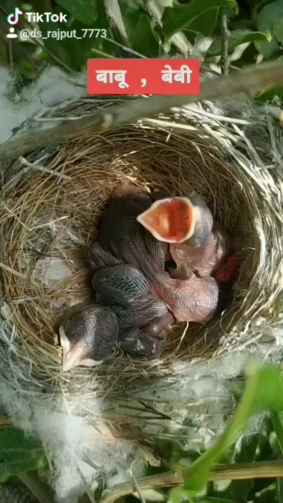 @ds_rajput _0007