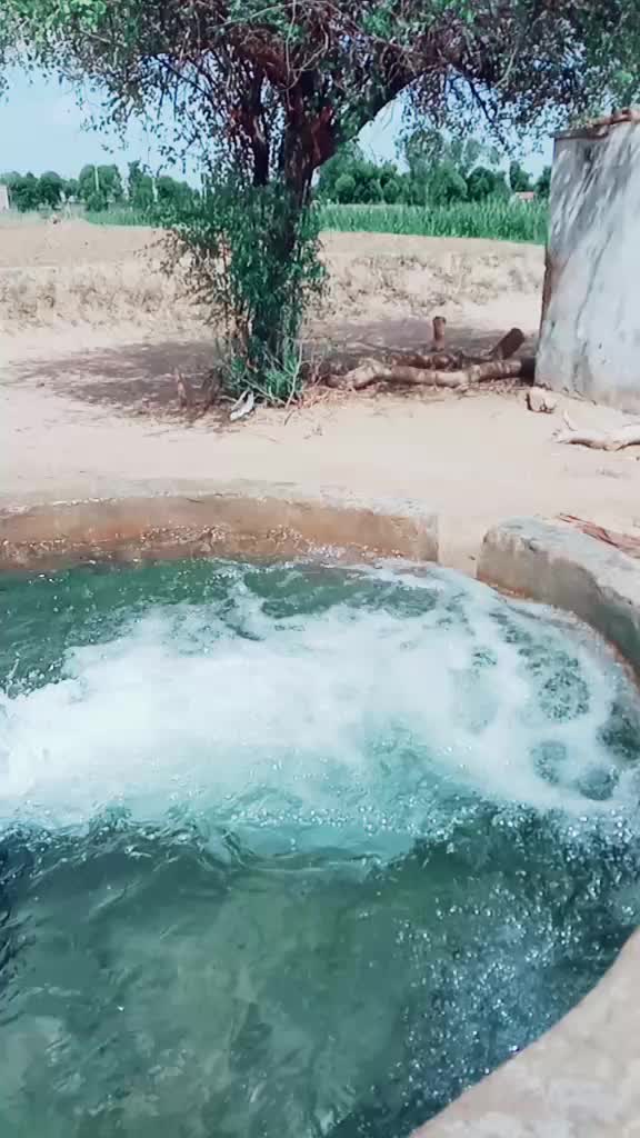 @mitesh bhuvaji