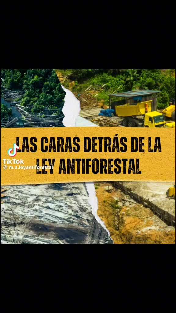 @Marion Montellanos