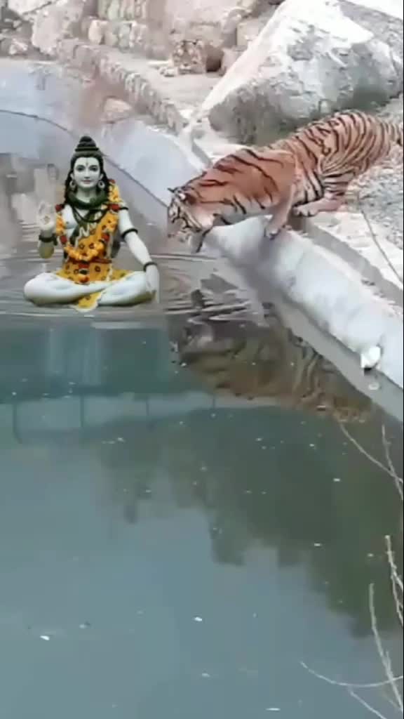 @user3956728502311
