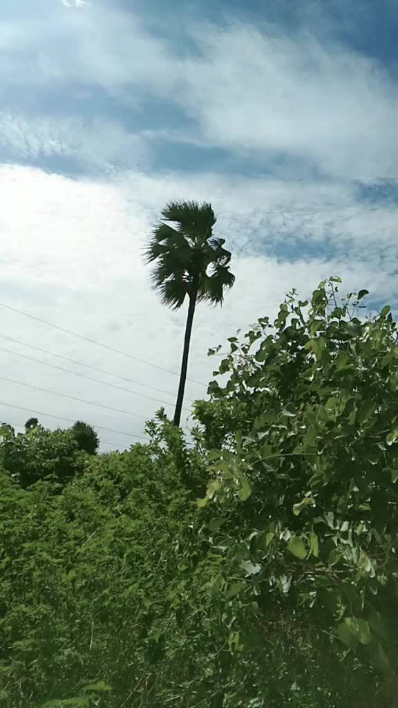 @సిద్దిపేట😎పొరగాన్ని