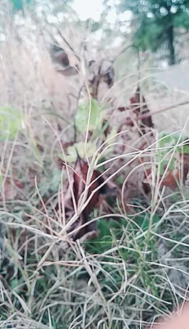 @Sakher Puwhal