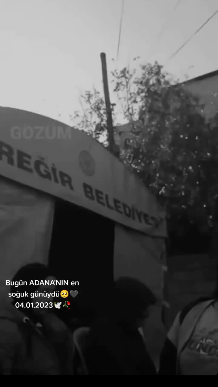 @ezelmendes01