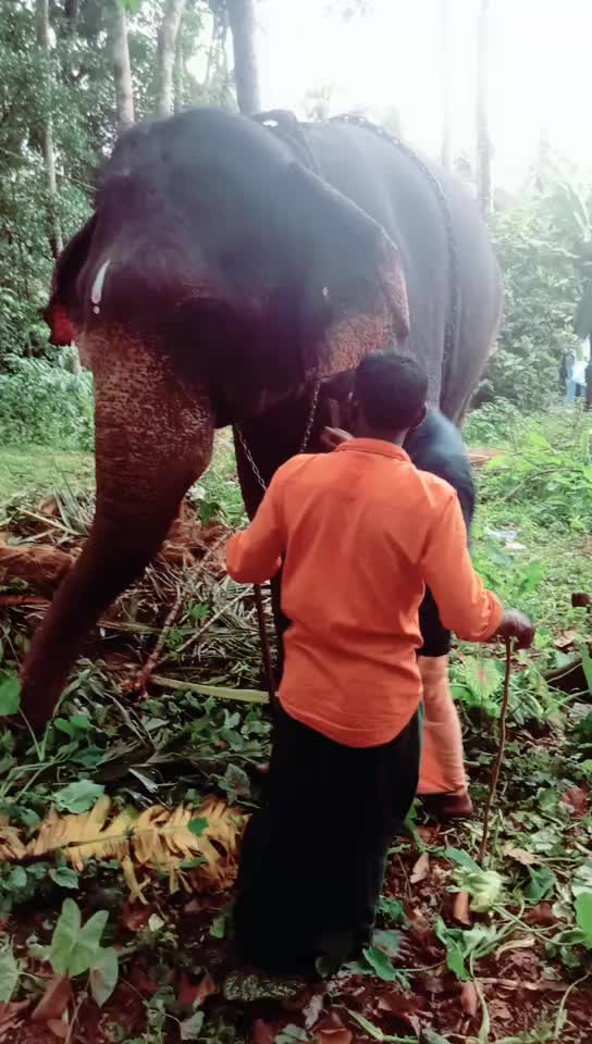 @sujith babu