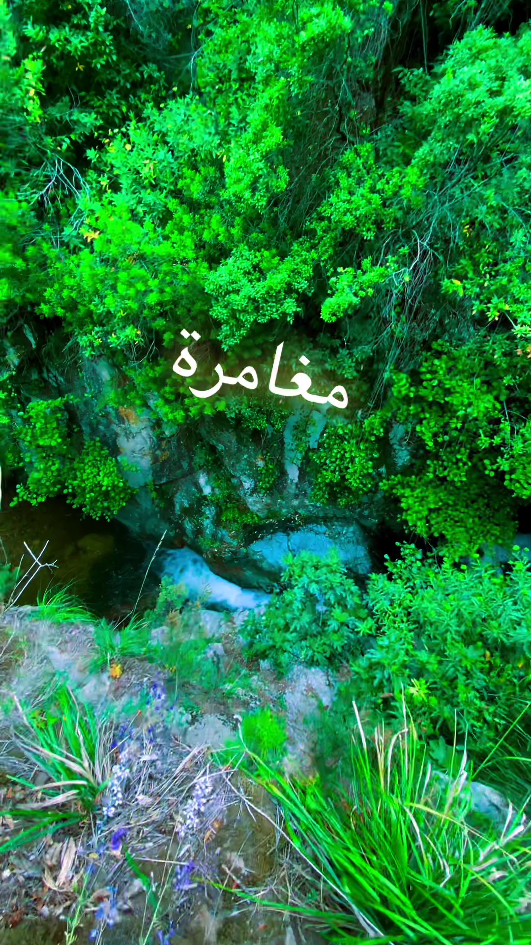 @ramzi baiker