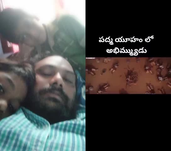 @vashista