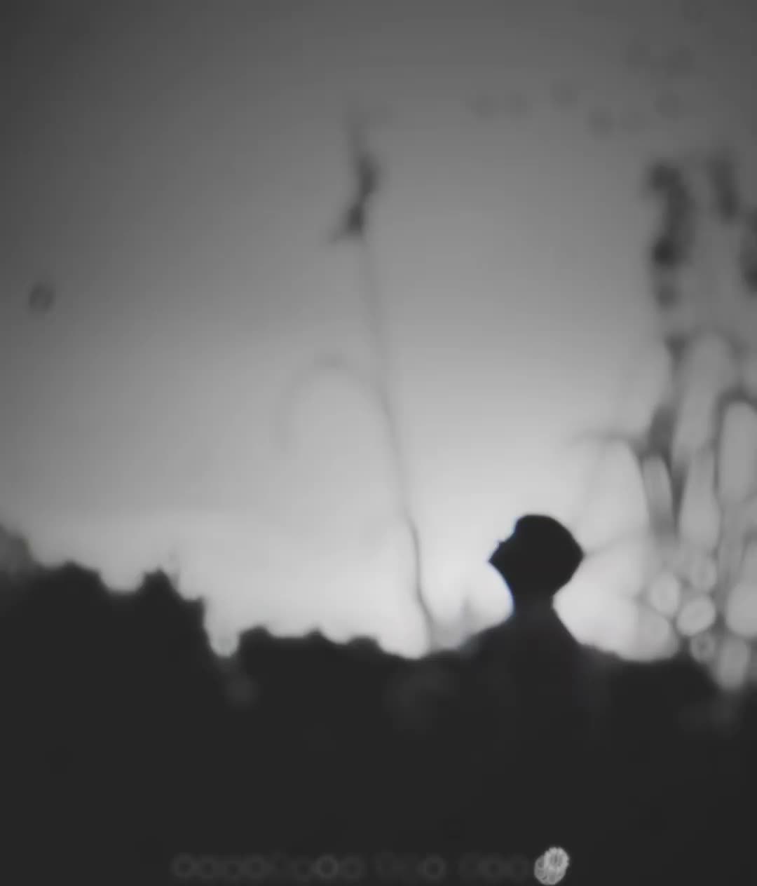 @phantasm_type