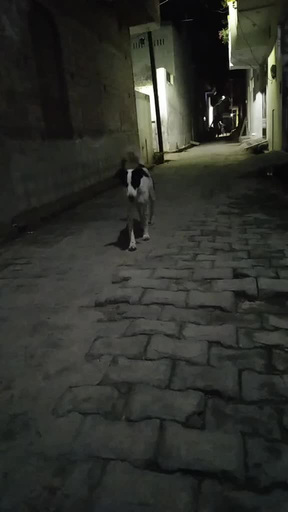 @A.K 530