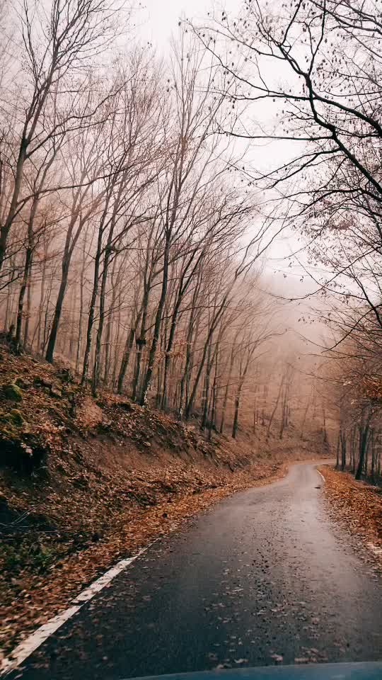 @Tarık Ahmed