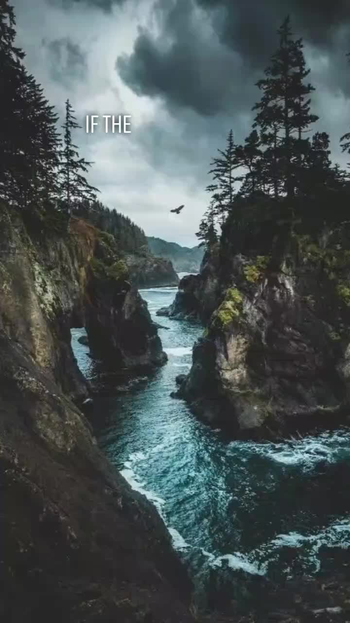 @SnowInJulyWriter💕