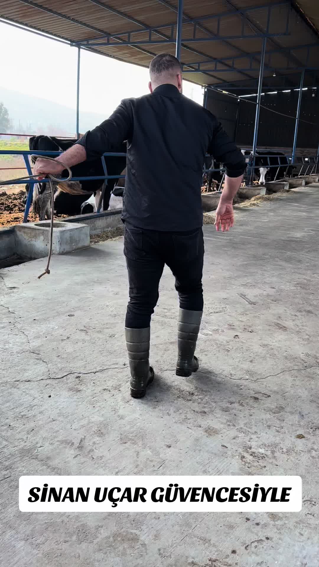 @CELEP SİNAN UÇAR