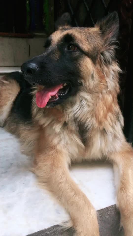 @Lakshya Mj Lakhara