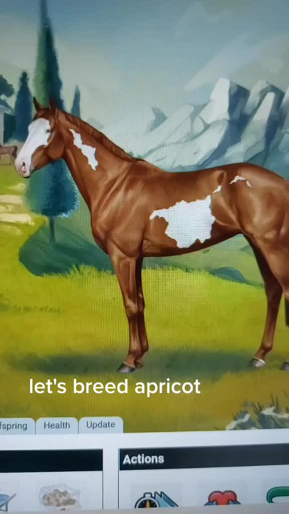 @horse reality