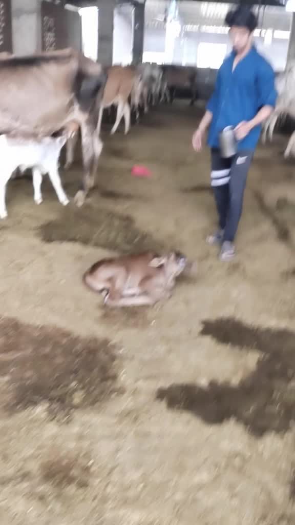@user88392106960