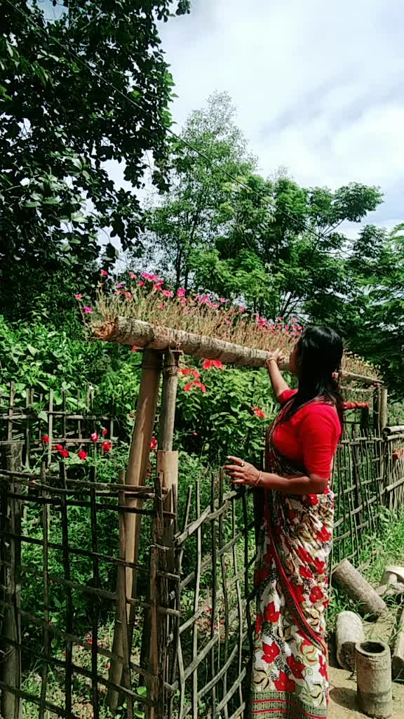 @M Sumi Bora Bora