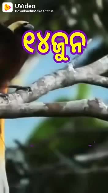 @Hiranya Harijan